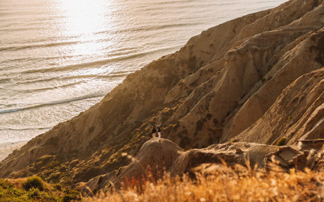 San Diego Surprise Engagement Proposal Photographer and local San Diego Photographer Brandon Colbert Photography